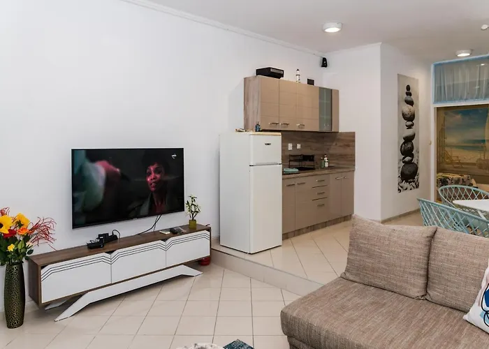 луксозен далия * Varna